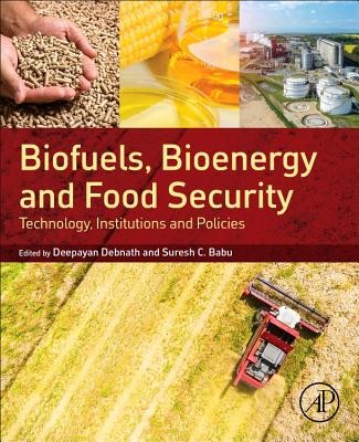 Biofuels, Bioenergy and Food Security: Technology, Institutions and Policies (Debnath Deepayan)(Paperback)