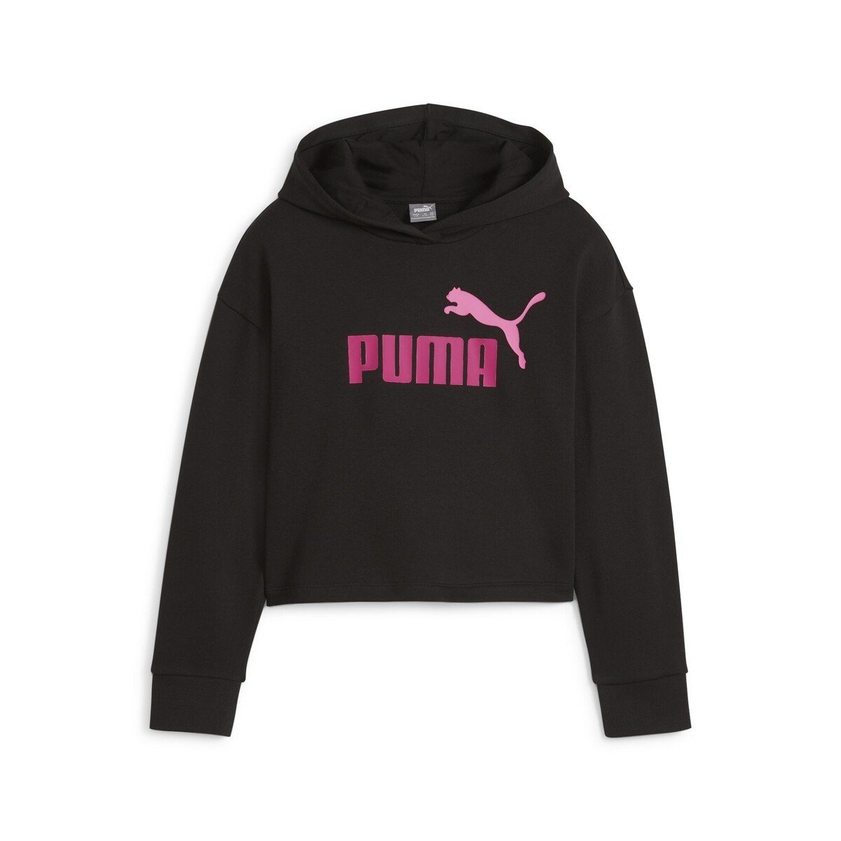 Puma  ESS 2COLOR HOODIE  Černá