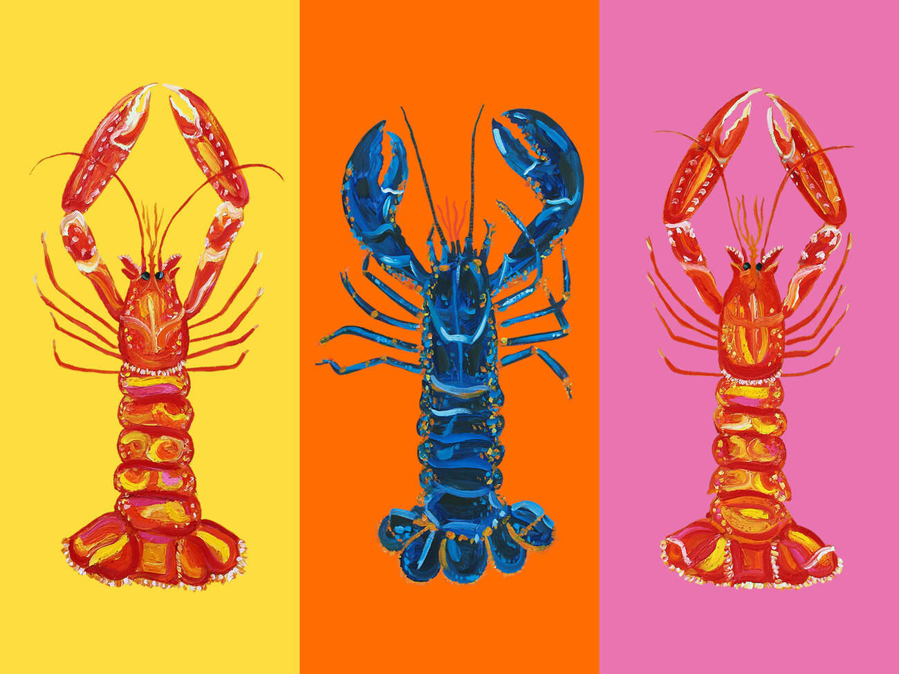 Alice Straker Ilustrace Lobster Langoustines Pop Art 3, Alice Straker, (40 x 30 cm)