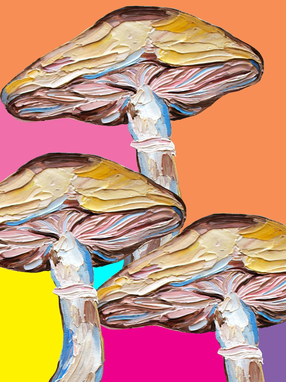 Alice Straker Ilustrace Psychedelic Mushrooms, Alice Straker, (30 x 40 cm)