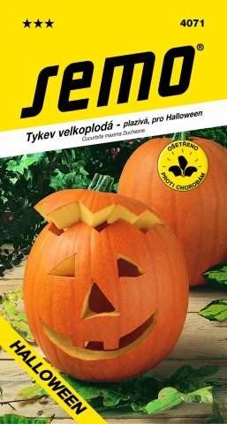 Tykev plazivá Gran Gigante (Halloween)