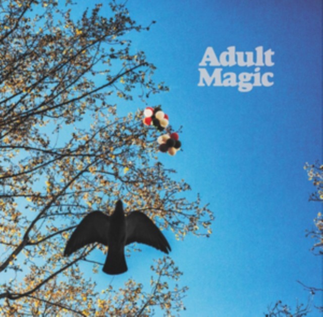 Adult Magic (Adult Magic) (Vinyl / 12