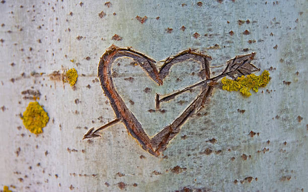 WHPics Umělecká fotografie Birch tree with carved heart, WHPics, (40 x 24.6 cm)