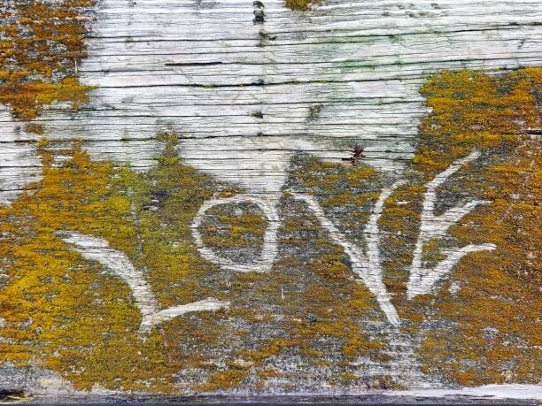 liveslow Umělecká fotografie Love Text In Lichen, liveslow, (40 x 30 cm)