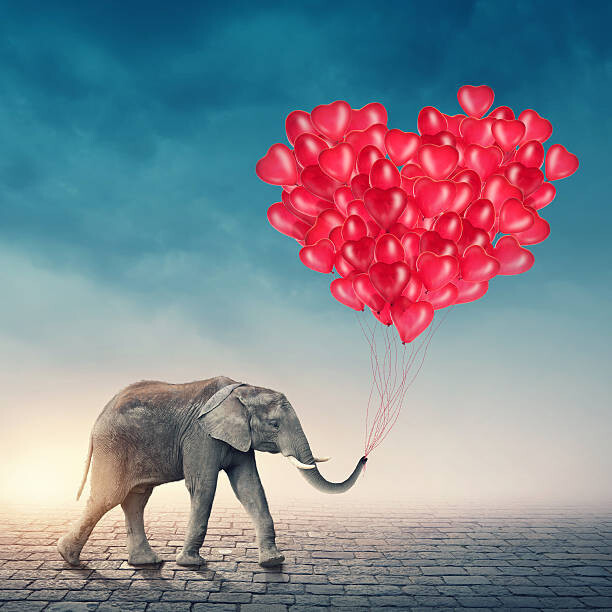 egal Umělecká fotografie Elephant with red balloons, egal, (40 x 40 cm)
