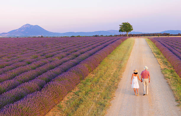 Shaun Egan Umělecká fotografie Couple walking on roadway between lavender fields, Shaun Egan, (40 x 24.6 cm)