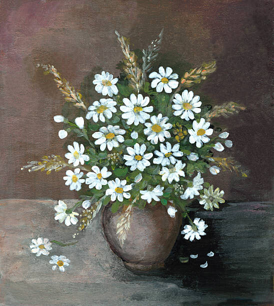 mitza Ilustrace Daisy arrangement, mitza, (35 x 40 cm)