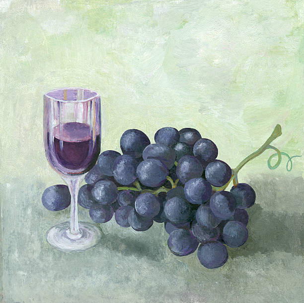 mitza Ilustrace Oil painting of red wine grapes, mitza, (40 x 40 cm)