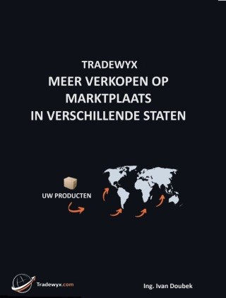 TRADEWYX, MEER VERKOPEN OP MARKTPLAATS IN VERSCHILLENDE STATEN - Doubek Ivan - e-kniha