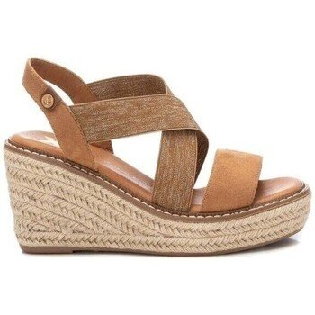 Xti  142326  Hnědá