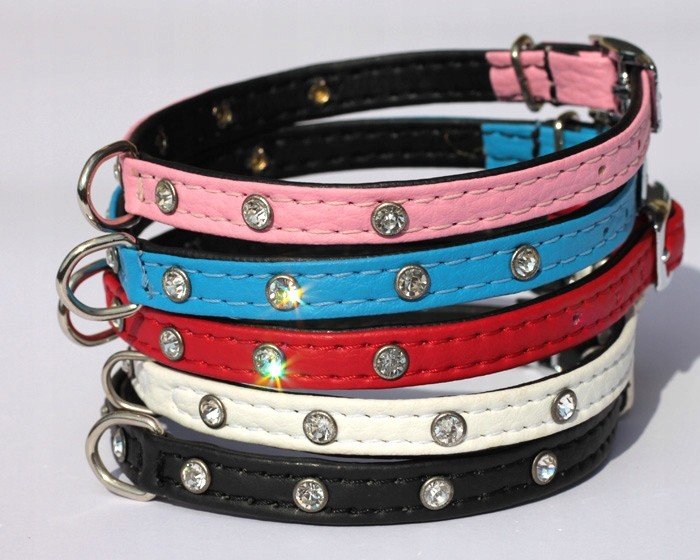 Obojek pro psa york biewer špice maltézský 30cm