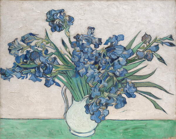 Gogh, Vincent van Gogh, Vincent van - Obrazová reprodukce Irises, 1890, (40 x 30 cm)