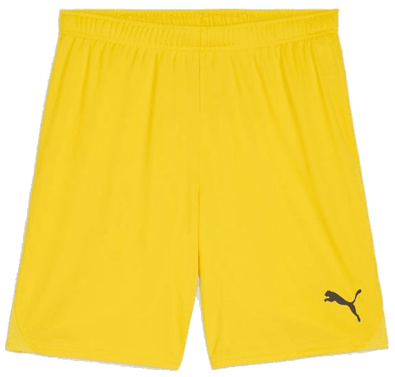 Šortky Puma teamGOAL Short