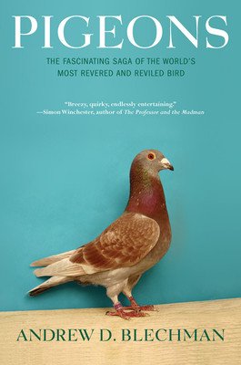 Pigeons: The Fascinating Saga of the World's Most Revered and Reviled Bird (Blechman Andrew D.)(Paperback)