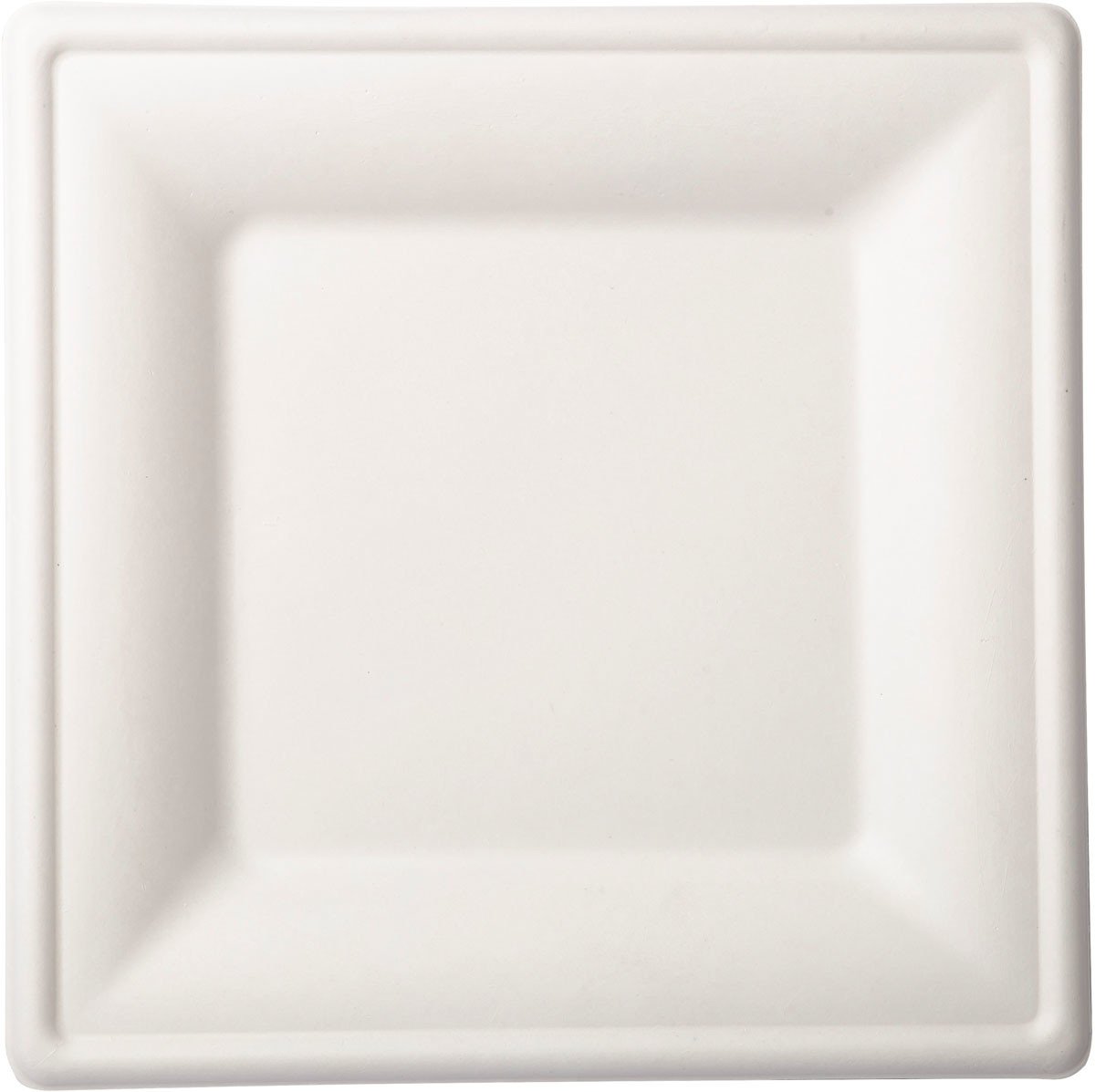 Talíře bílé bio 10 ks 26 cm x 26 cm Duni