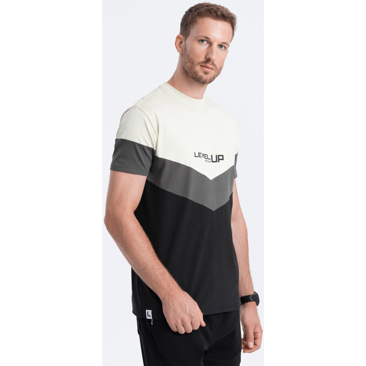 Ombre  Men apos;s cotton tricolor t-shirt with logo  ruznobarevne