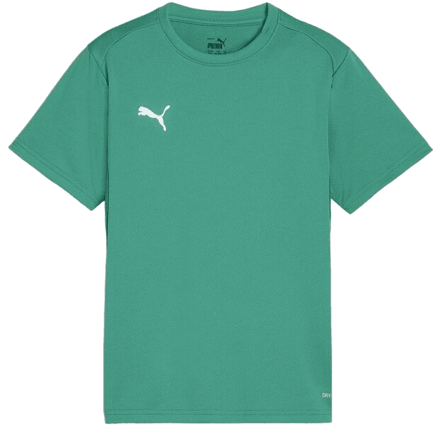 Triko Puma teamGOAL T-Shirt