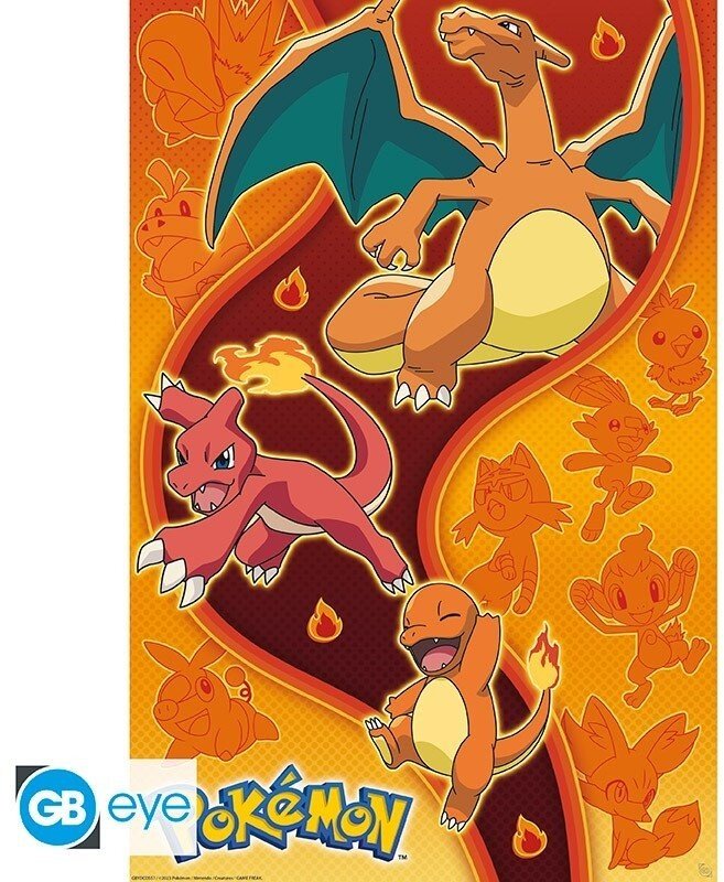 Plakát Pokémon - Fire Type (91.5x61) - GBYDCO557