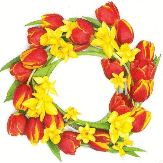 POL-MAK Ubrousky Daisy L - SD_WI_005501