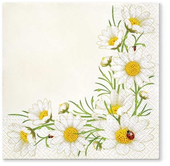 PAW Ubrousky TeTe L - Bunch of Marguerites - TL315000
