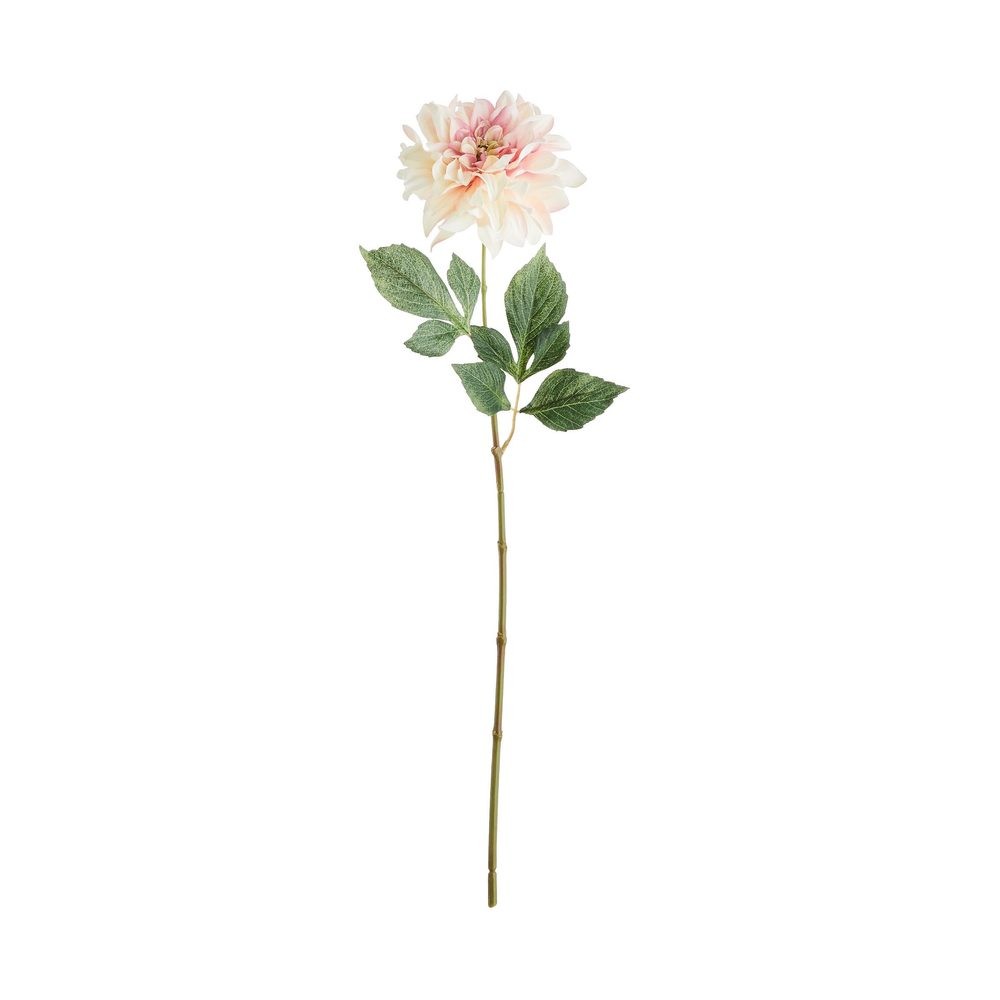 FLORISTA Jiřina 63 cm - krémová/růžová