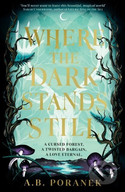 Where the Dark Stands Still - A.B. Poranek