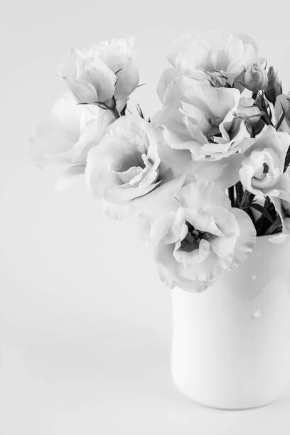 white_caty Umělecká fotografie Beauty Eustoma flowers in vase. Black, white_caty, (26.7 x 40 cm)