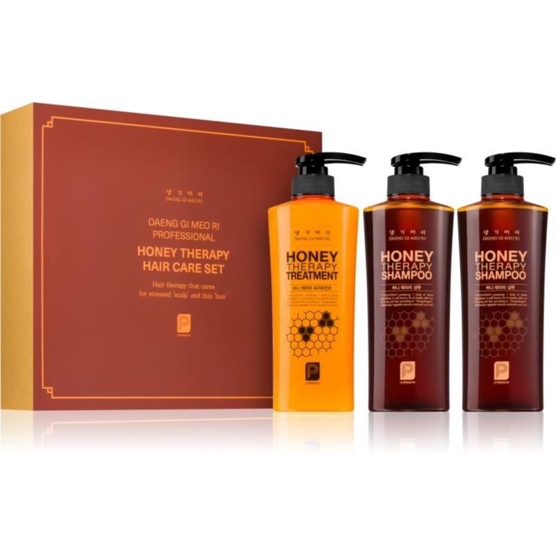 DAENG GI MEO RI Honey Therapy Professional Hair Care Set dárková sada (pro výživu a hydrataci)