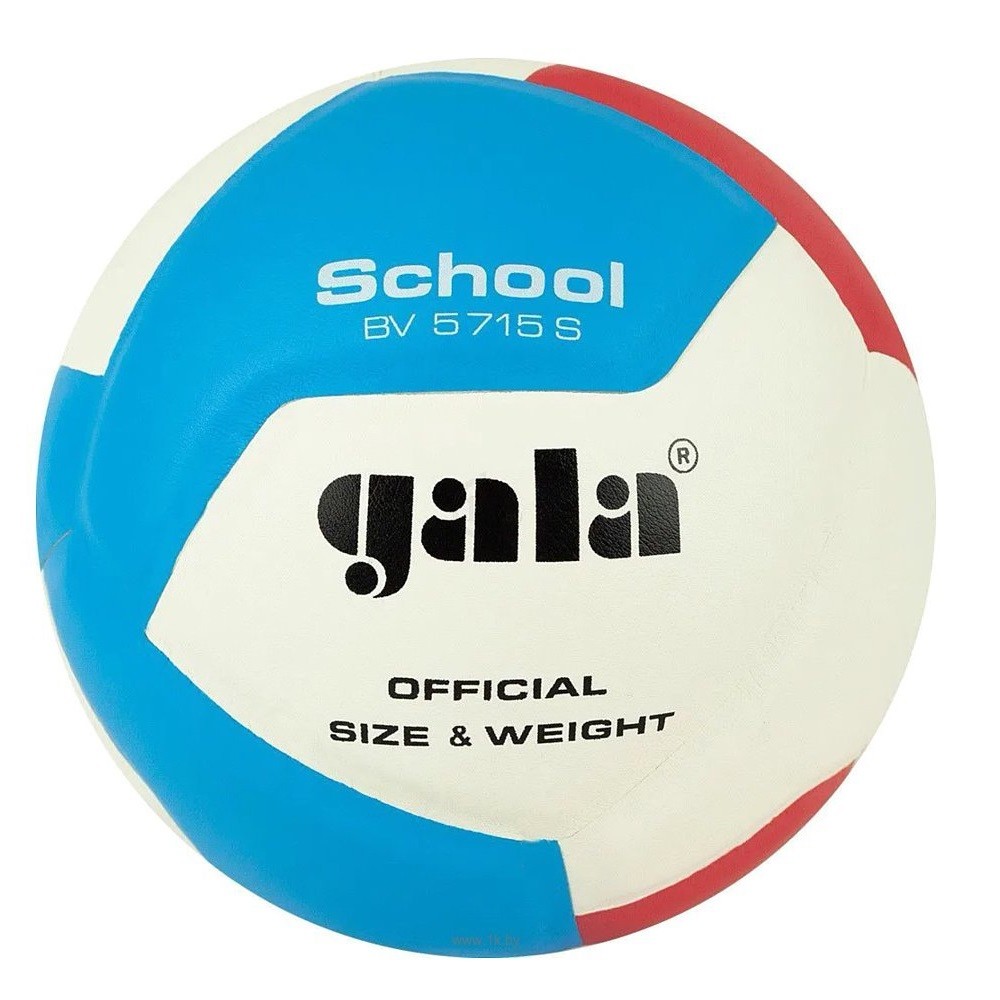Gala School Foam 5511 S