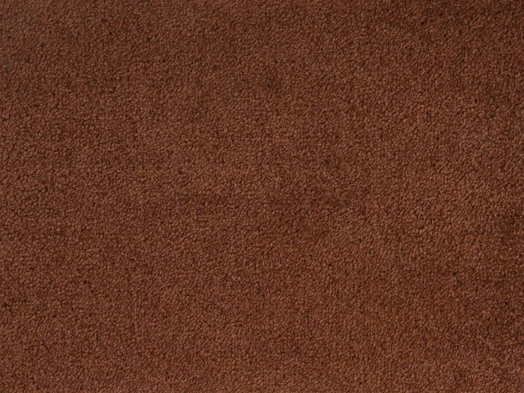 AKCE: 100x220 cm Metrážový koberec Dynasty 97 - Bez obšití cm Aladin Holland carpets