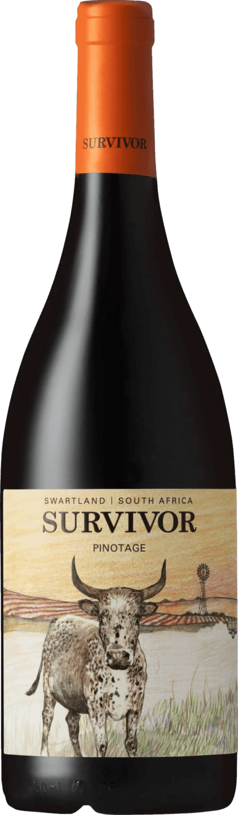 Survivor Pinotage 2021