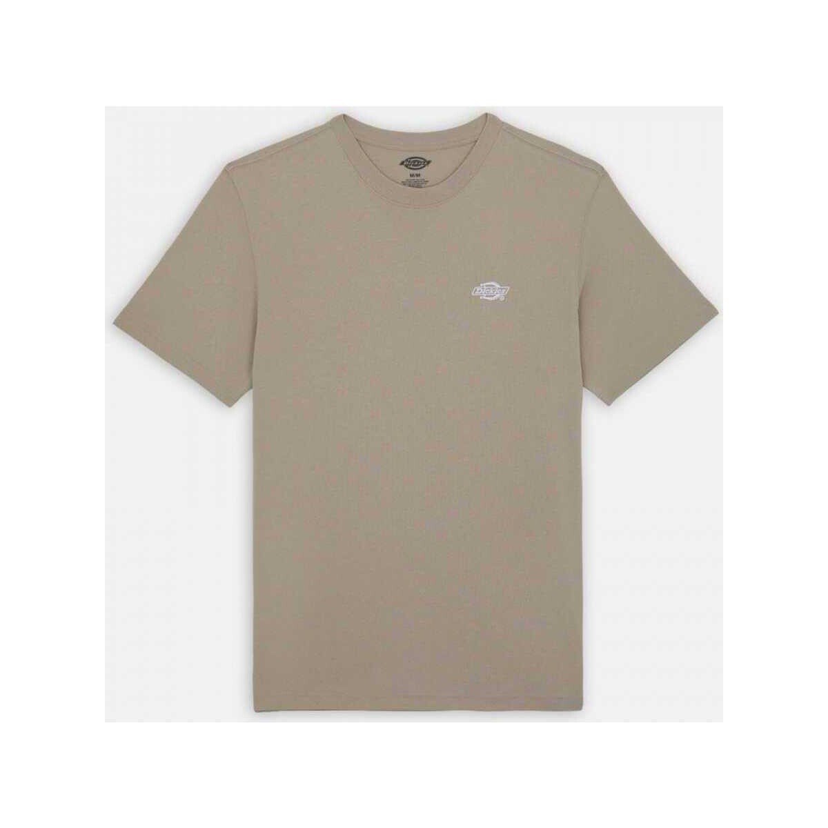 Dickies  Summerdale tee ss  Béžová