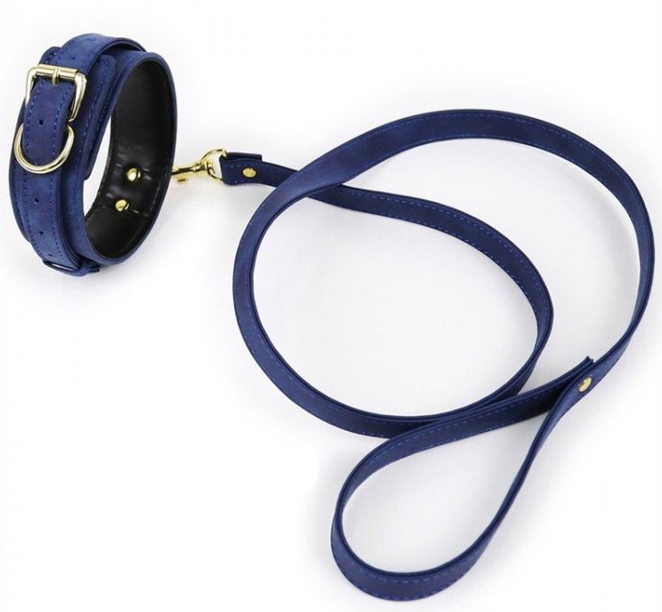 Obojek s vodítkem - modrý