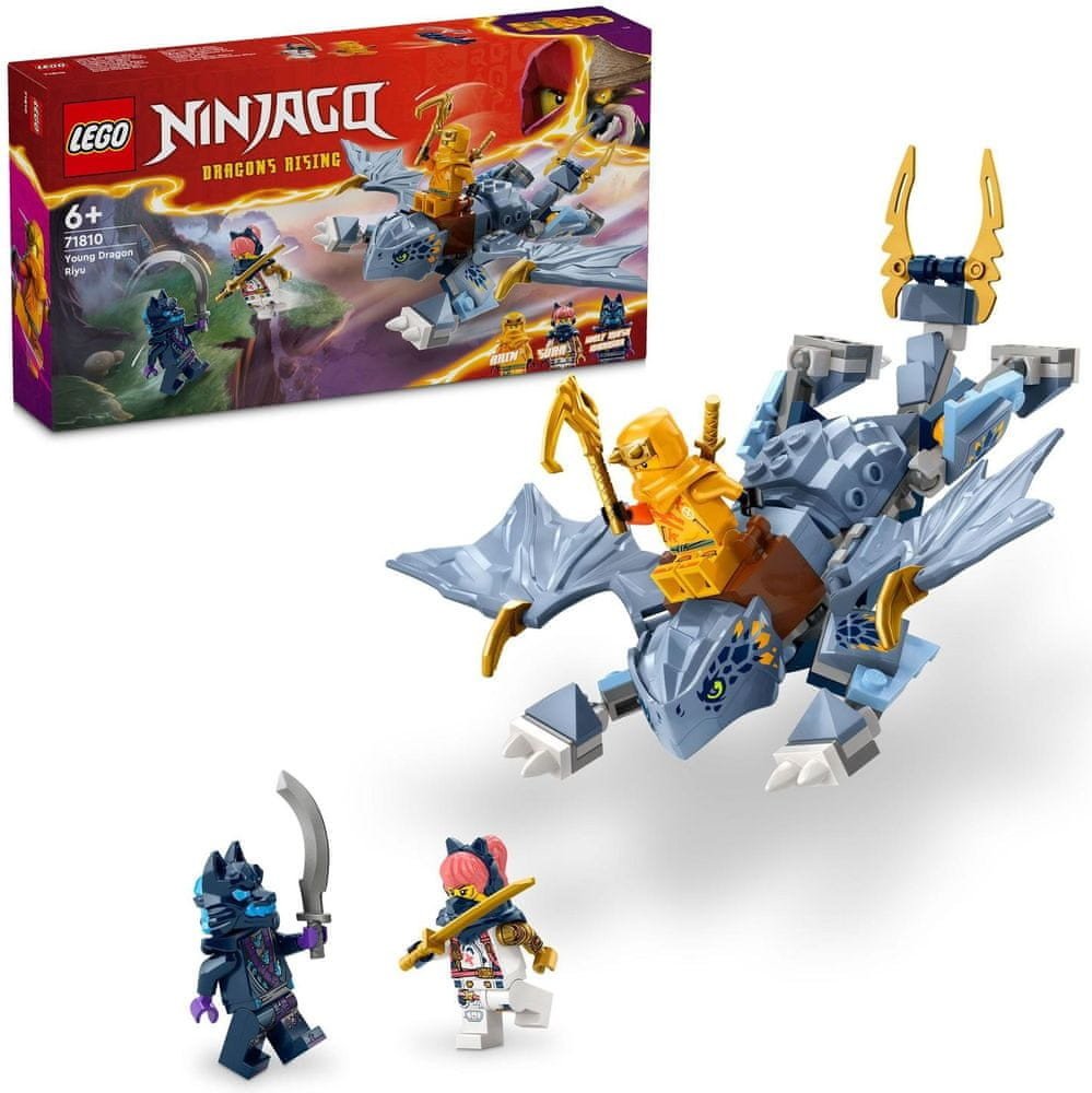 LEGO NINJAGO 71810 Dračí mládě Riyu