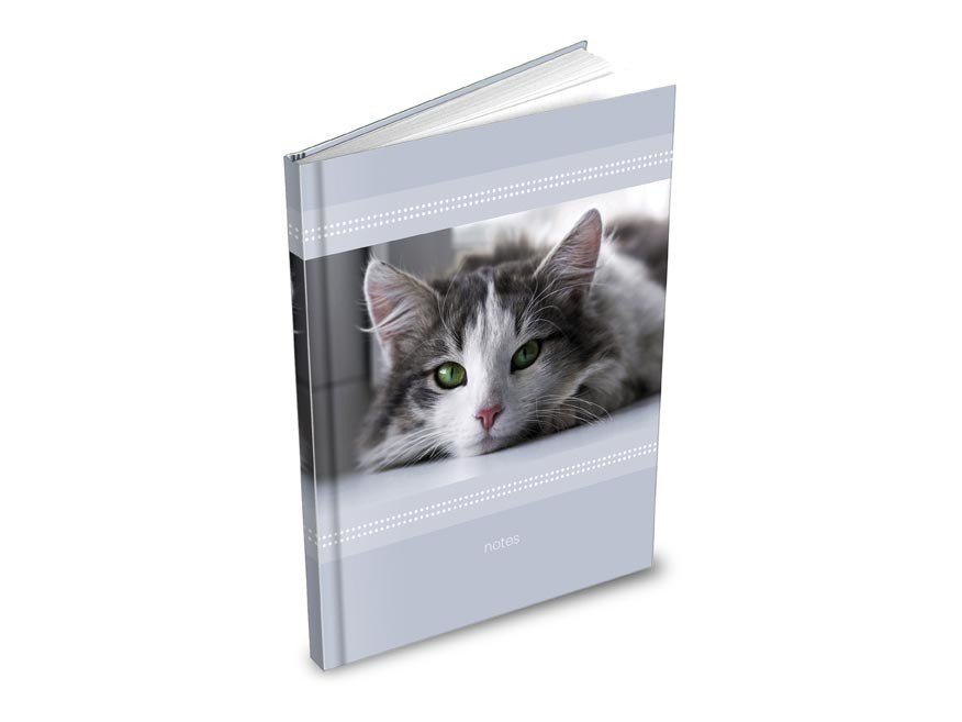 MFP 7501502 Záznamová kniha A5 100l/linka ZL5104