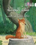 The King of the Forest: (Level 10) (Collins Uk)(Paperback)