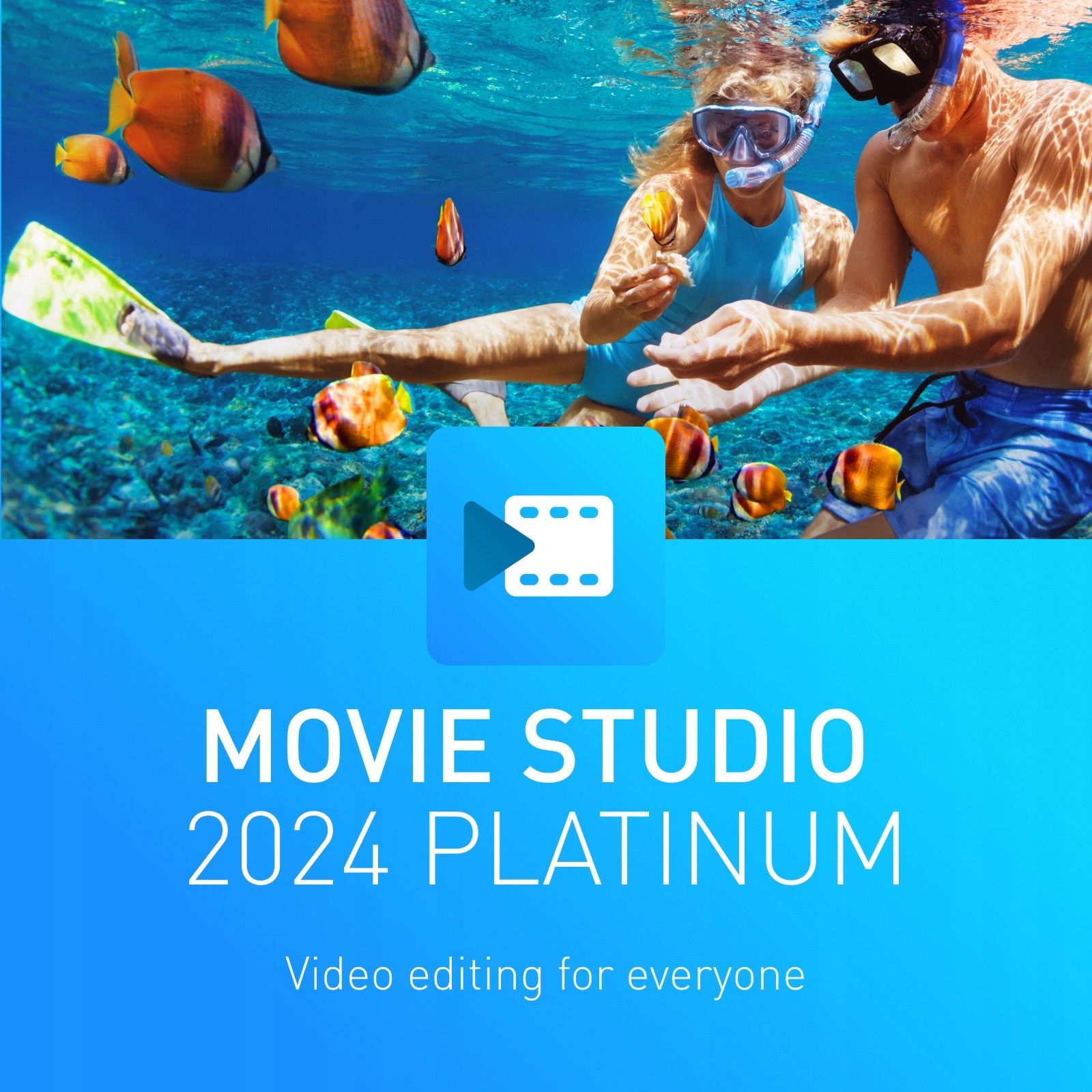 Magix Movie Studio 2024 Platinum Esd licence, komerční, doživotní)