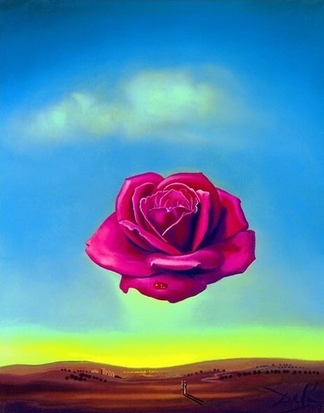 MIGNECO&SMITH Umělecký tisk Salvador Dali - Medative Rose, (50 x 70 cm)