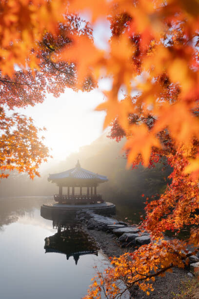 Twenty47studio Umělecká fotografie Beautiful Autumn scene of Naejangsan national, Twenty47studio, (26.7 x 40 cm)
