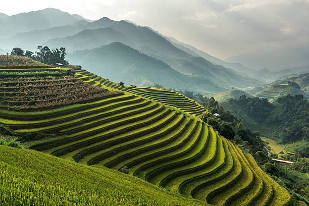 wiratgasem Umělecká fotografie Rice fields on terraced of Mu, wiratgasem, (40 x 26.7 cm)