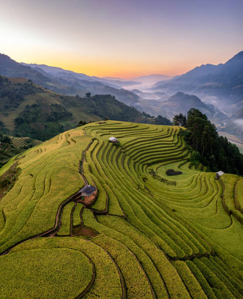 Vu Viet Dung Umělecká fotografie Rice fields on terraced prepare the, Vu Viet Dung, (35 x 40 cm)