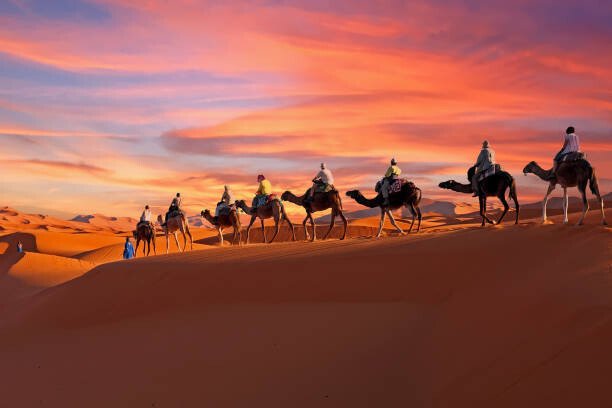 Nisangha Umělecká fotografie Camel caravan going through the Sahara, Nisangha, (40 x 26.7 cm)