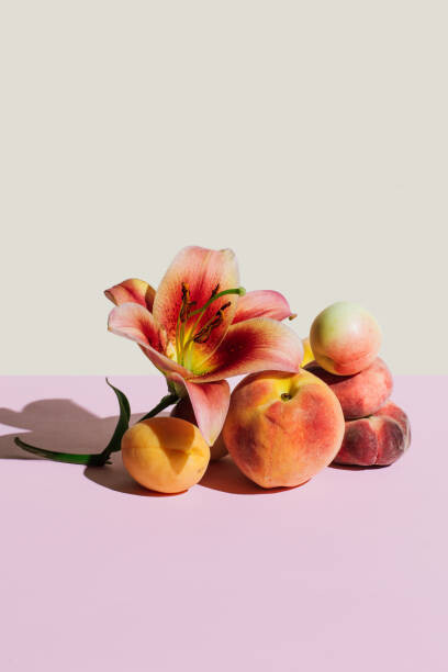 Tanja Ivanova Umělecká fotografie Lily flower and peaches on beige, Tanja Ivanova, (26.7 x 40 cm)