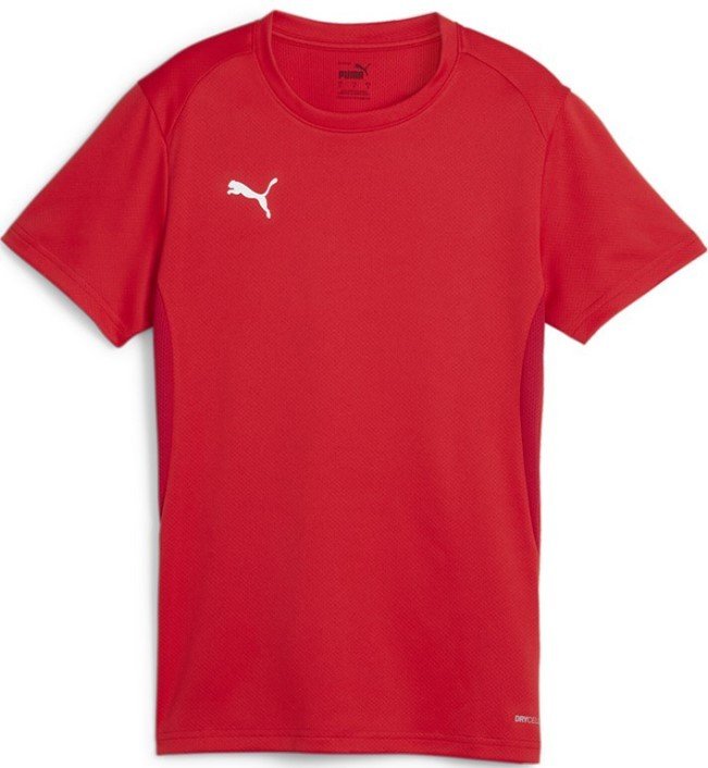 Dres Puma  teamGOAL Jersey W