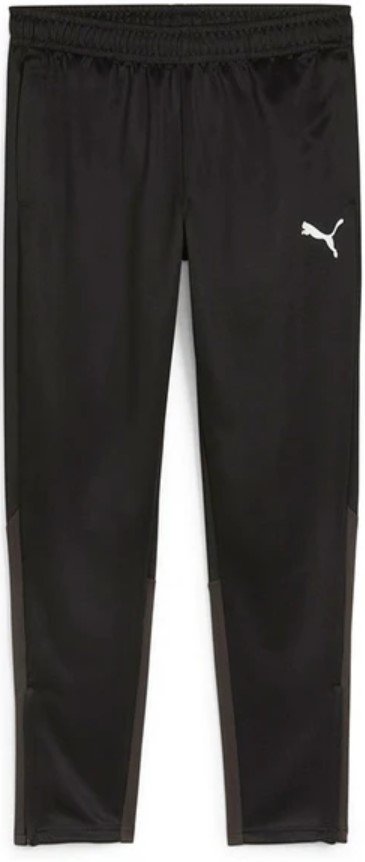 Kalhoty Puma teamGOAL Training Pant