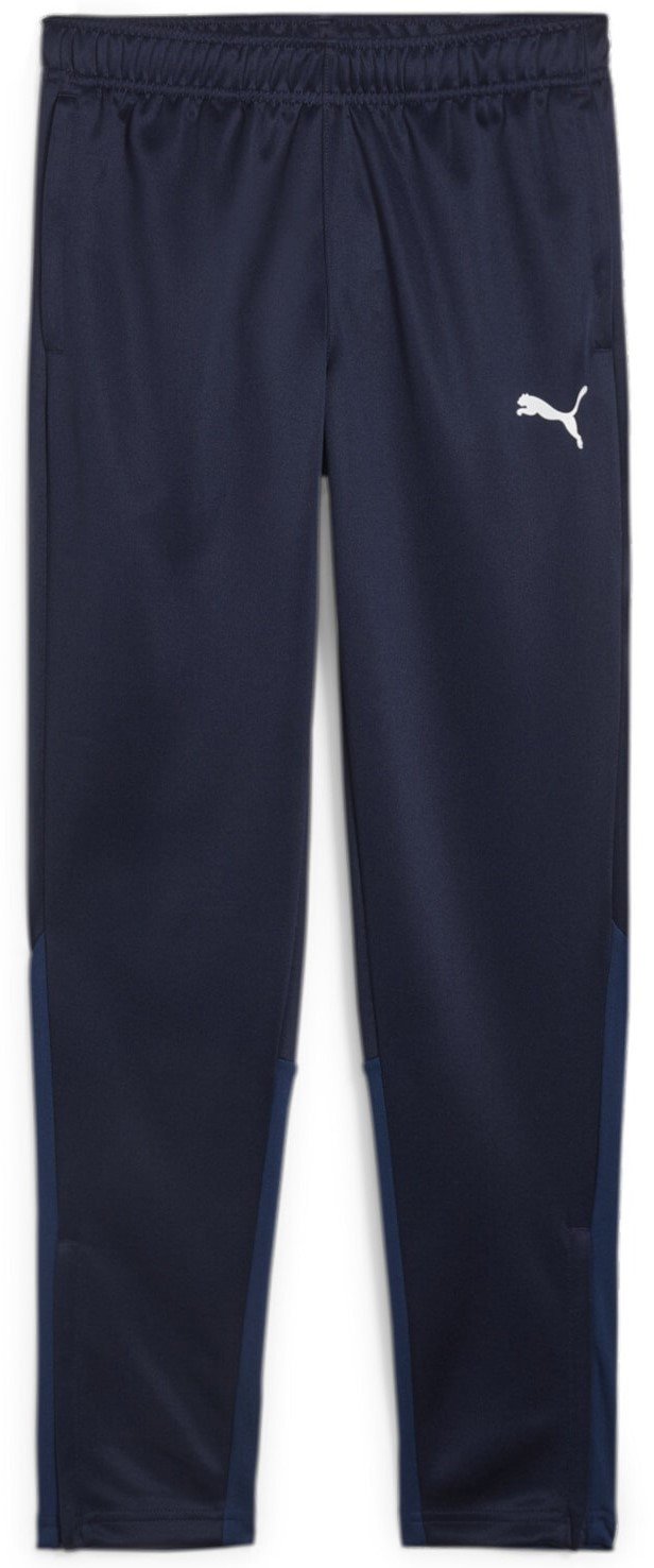 Kalhoty Puma teamGOAL Training Pant Jr