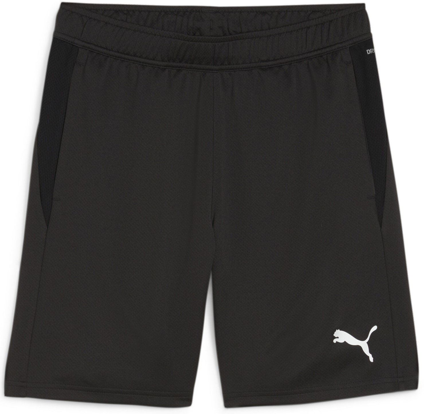 Šortky Puma teamGOAL Training Short