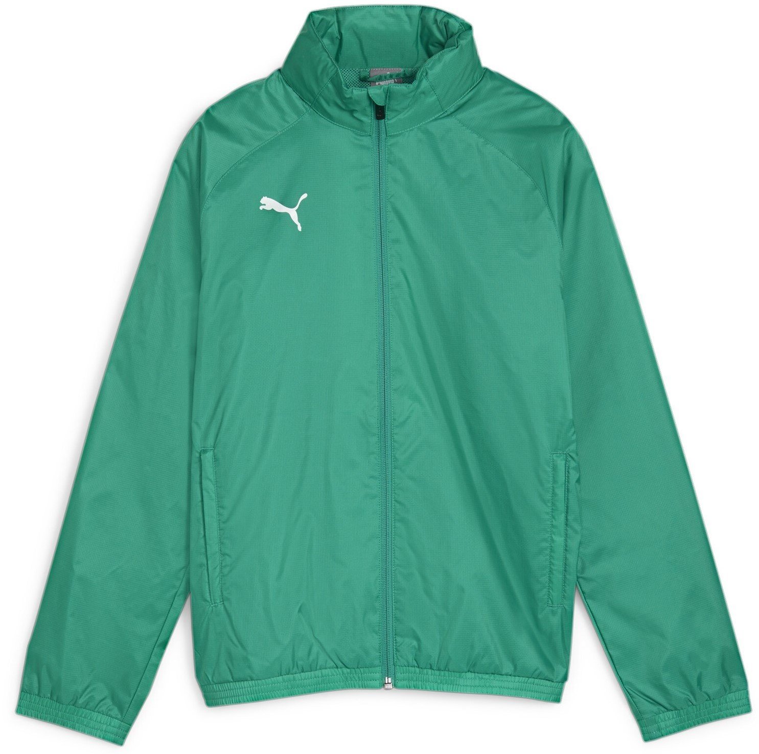 Bunda Puma teamGOAL Allweather Jacket Jr