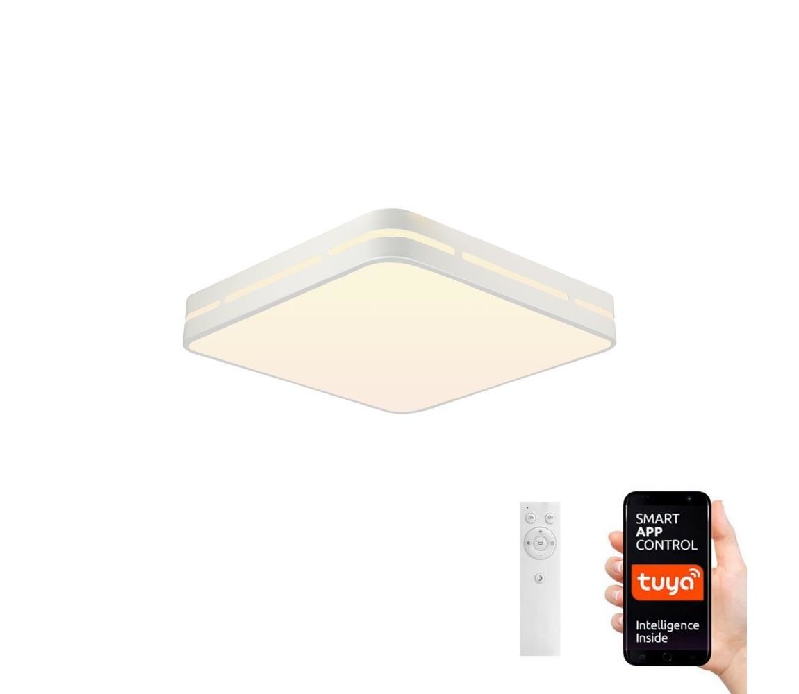 Neo  NEO 07155-W30 - LED Stmívatelné svítidlo PERFECTO 24W/230V Wi-Fi Tuya + DO