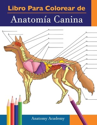 Libro para colorear de Anatoma Canina: Libro de Colores de Autoevaluacin Muy Detallado de Anatoma Canina - El Regalo Perfecto Para Estudiantes de V (Academy Anatomy)(Paperback)